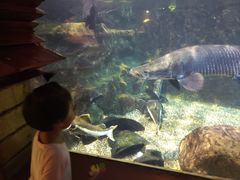 -太平洋海底世界