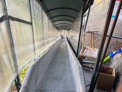 -龙湾潭国家森林公园