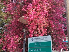 -广西医科大学第一附属医院