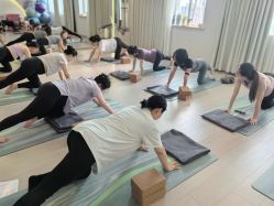 -爱尔乐美孕产瑜伽·普拉提