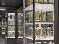 -北京中医药大学-中医药博物馆
