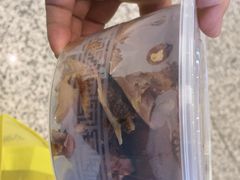 -吴家东少手撕烤鸭(绳金塔店)