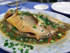 清蒸黄瓜鱼-老杨饭店(万科里店)