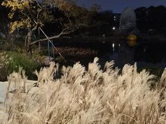 -宁波儿童公园(鄞州区)