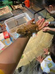 -酷嗒动物文化乐园(cutezoo西溪乐天城店)