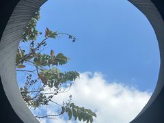 -海珠儿童公园