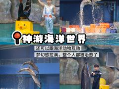 -威海华夏城景区