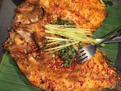 罗非鱼-云海肴·汽锅鸡·云南菜(天山百盛优客店)