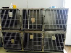 -大理酷宠宠物医院