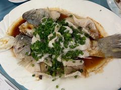 特色香葱淋鲈鱼-粤·向群饭店(泮塘路店)