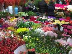 -双季花艺园艺市场(浦东店)
