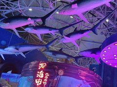 -烟台海昌鲸鲨海洋公园