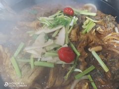 -老板恋上鱼(振华商厦店)