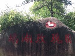 -鹅湖玫瑰文化园