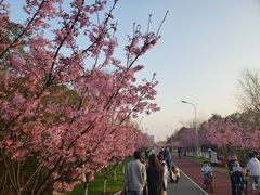 -艾溪湖湿地公园