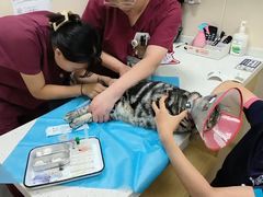 -美联众合爱康动物医院•复杂内科•肿瘤科•牙科•腔镜诊疗中心