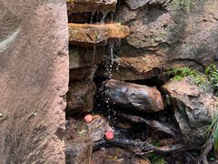 -崂山九水游览区