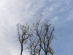 -良渚古城遗址公园