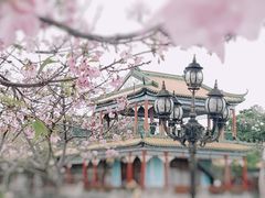 -宝墨园景区