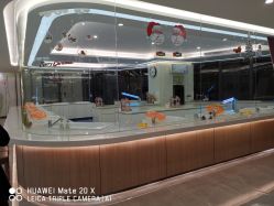 -宝生月子中心·独栋独院式(南山店)