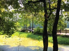 -东湖落雁景区