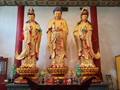 -上海东林寺(金山区)