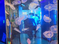 -香港海洋公园