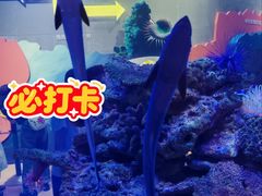 -厦门诚毅自然探索馆
