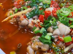 -易老妈蹄花.特色川菜(人民公园总店)