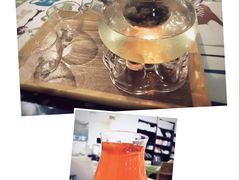 -吉丁鸟咖·异宠·寄养