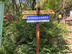 -老象峰