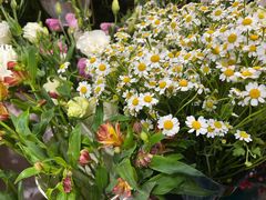 -何兮花店·气球派对鲜花店(马桥银春路万科城店)
