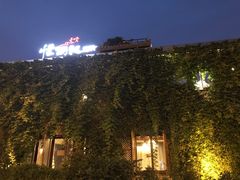 -慢丽江·云南野生菌土鸡锅(付家庄店)