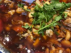 -院8里·少城记忆老川菜(宽窄巷子店)