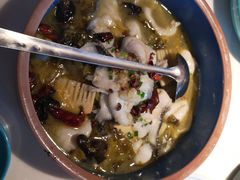 老坛酸菜黑鱼片（小份）-荷塘秋月·本帮江浙菜(国权路店)