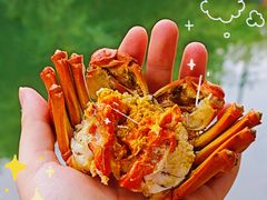 -欢乐蟹庄·精品农家乐(阳澄湖莲花岛店)