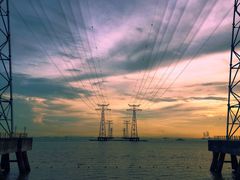 -宝安西湾红树林湿地公园