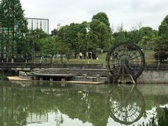 -铁山坪森林公园