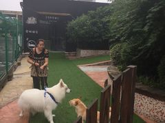-汪说喵讲宠物乐园宠物酒店(红星美凯龙店)