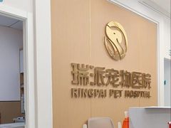 -瑞派康怡24h宠物医院·犬猫医疗中心·微创绝育(瑞景分院)
