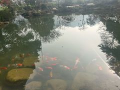 -中国茶叶博物馆(双峰馆区)