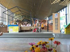 -田园东方蜜桃村的田野营地