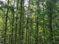 -南京金牛湖风景区