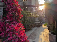 -Osteria Garden 生蚝花园餐厅(原进贤路店)