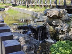 -白水寺森林公园