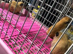 -华声天桥民俗文化园