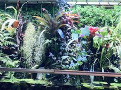 -中环花鸟鱼虫市场
