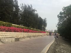 -宝安西湾红树林湿地公园