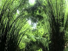 -平乐古镇