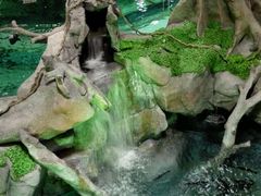 -福州罗源湾海洋世界旅游区